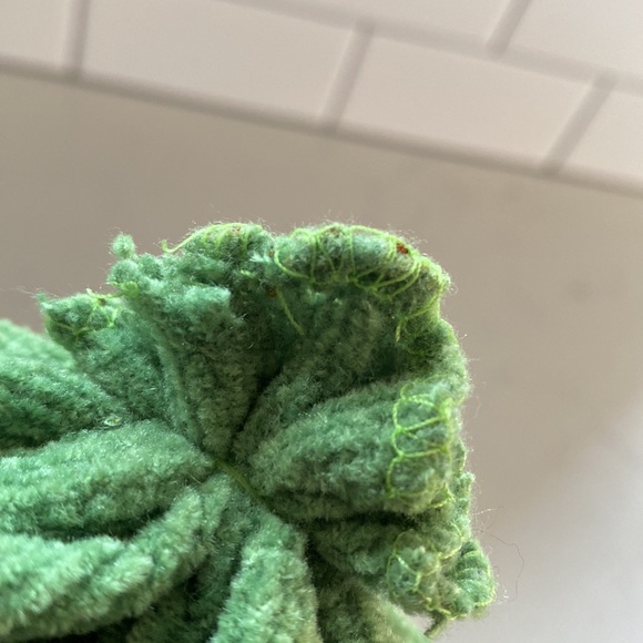 Dan Dee Stuffed Black Bear - Picture 5 of 5